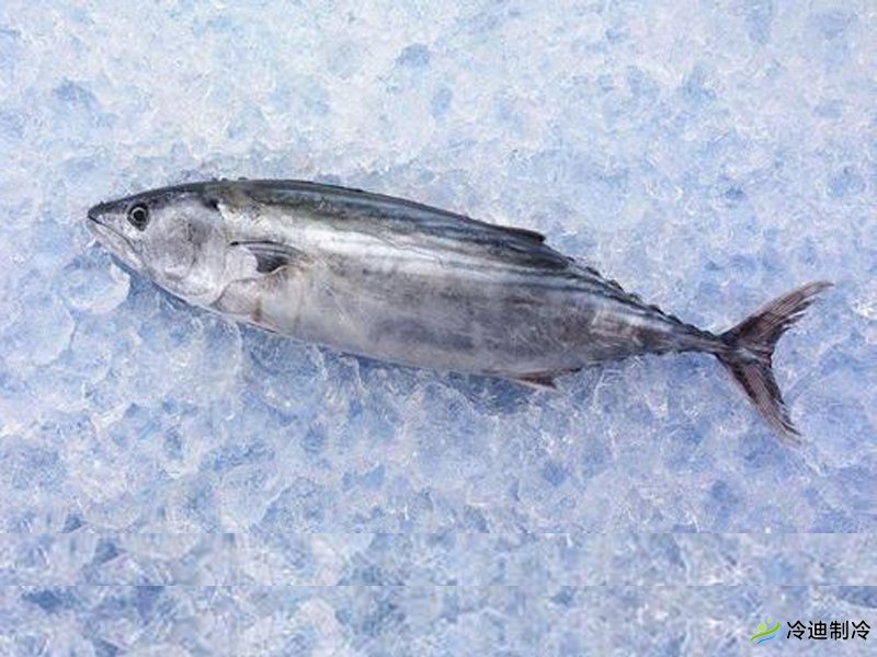 超低溫冷庫溫度造價(jià)和優(yōu)點(diǎn)(圖1) 超低溫冷庫溫度造價(jià)和優(yōu)點(diǎn)(圖1)