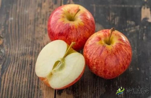 蘋果冷庫儲藏特點，保鮮冷庫造價及影響因素(圖1)