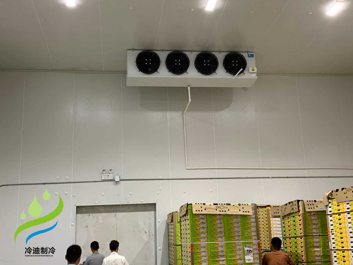 建造100平方棗子保鮮冷庫造價(jià)多少錢？