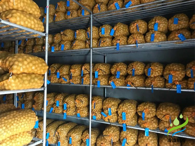 建造100噸土豆冷庫面積及冷庫造價多少錢？