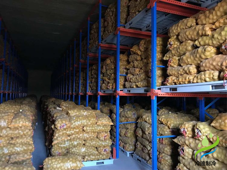 建造100噸土豆冷庫面積及冷庫造價多少錢？