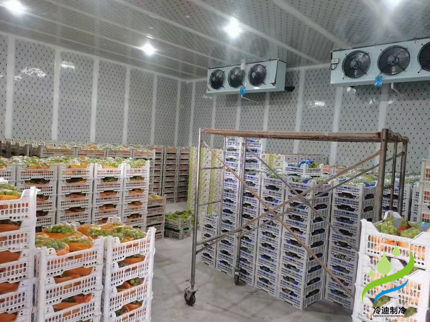 建造氣調冷庫多大一間比較合適？