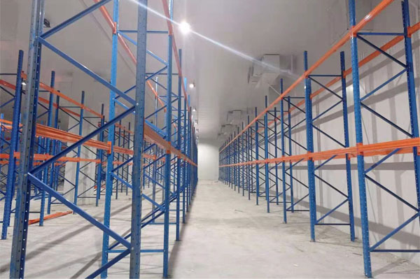 建造一個櫻桃保鮮冷庫多少錢？(圖2)