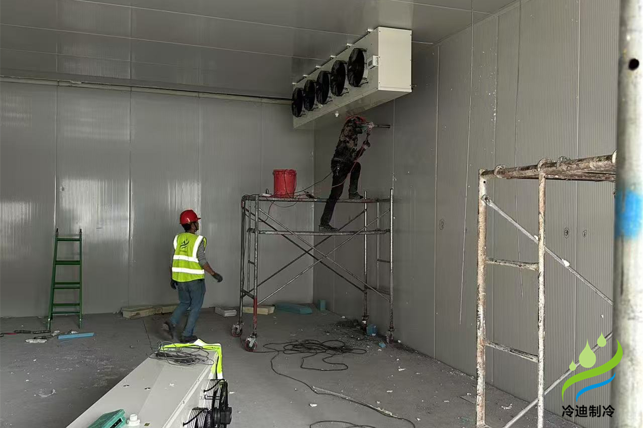 浙江杭州500立方醫(yī)藥冷庫(kù)建造案例(圖1) 醫(yī)藥冷庫(kù)