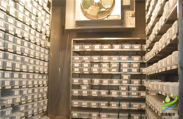 安裝一個小型種子冷庫大概要多少錢？