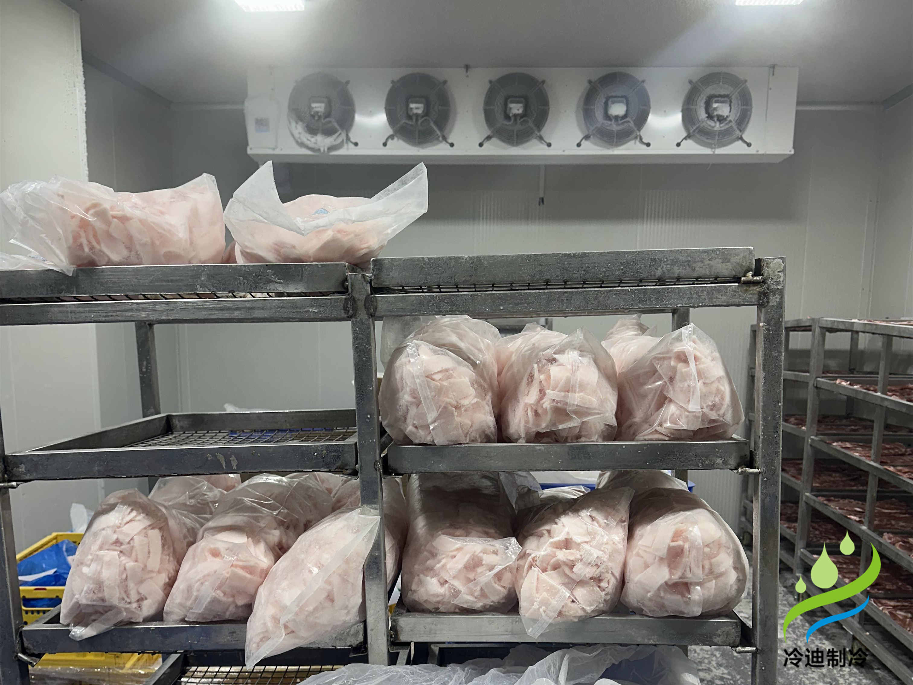 超低溫冷庫造價